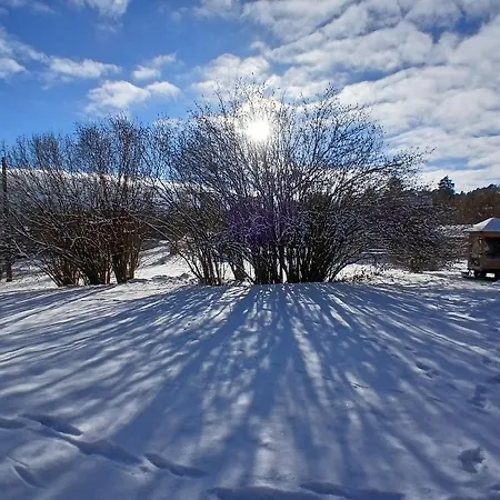 Lumineux En Lisiere De Foret - 2 Pers. - Fr-1-589-879 *