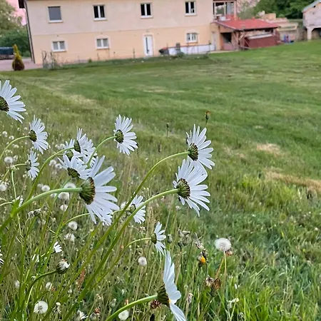 Lumineux En Lisiere De Foret - 2 Pers. - Fr-1-589-879 Daire